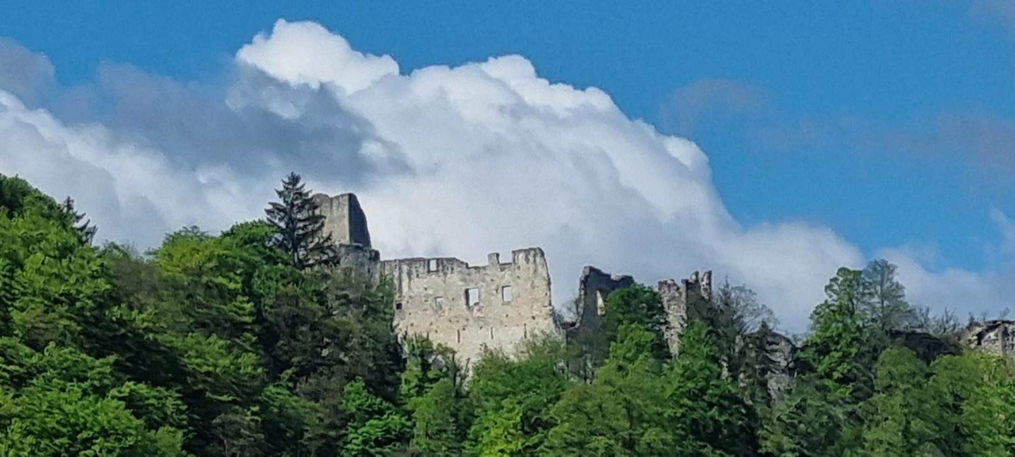 Studio Apartment Old Town Castle Samobor Exteriör bild