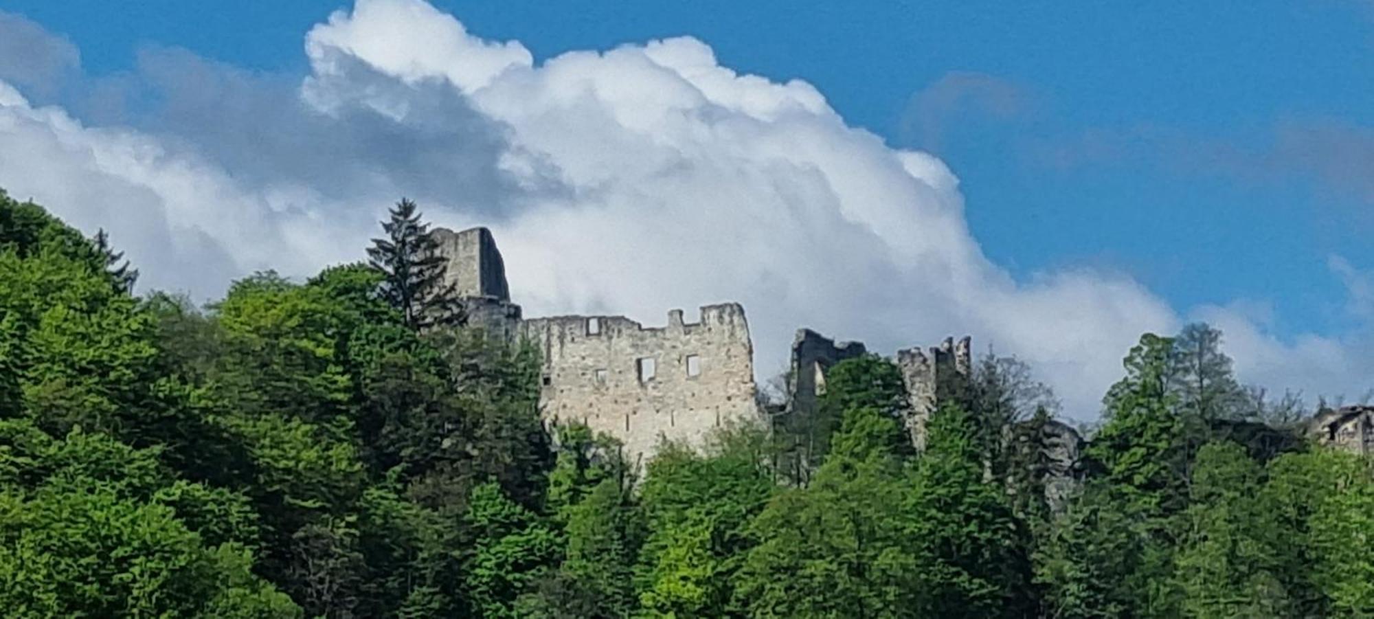 Studio Apartment Old Town Castle Samobor Exteriör bild