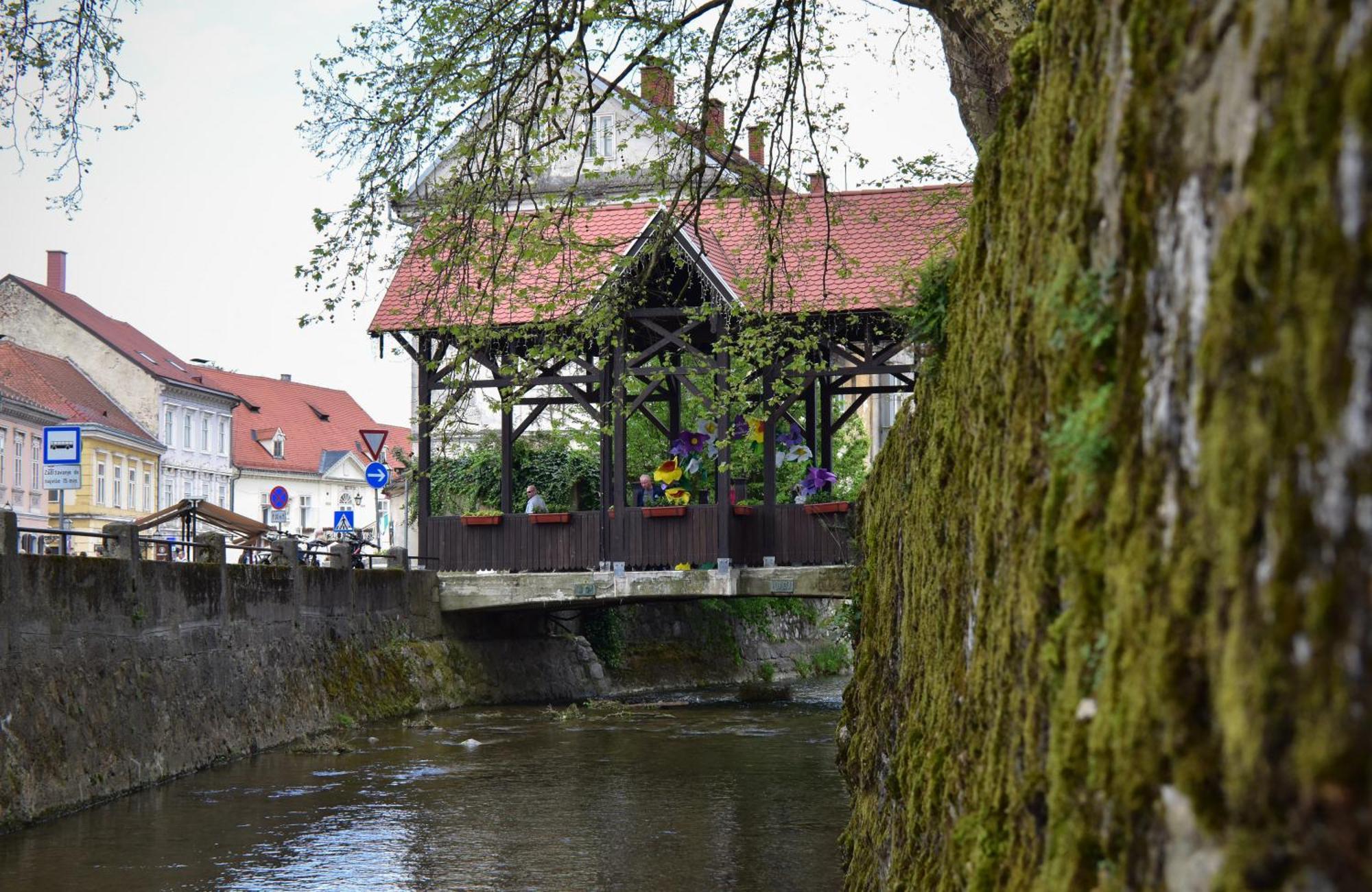 Studio Apartment Old Town Castle Samobor Exteriör bild